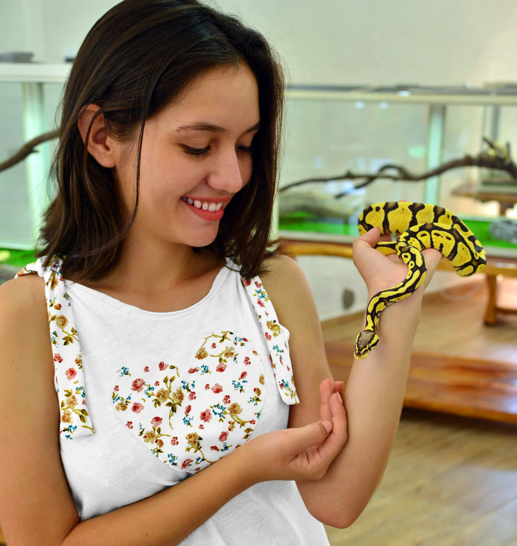Proyecto Boa - Galería Derecha 5